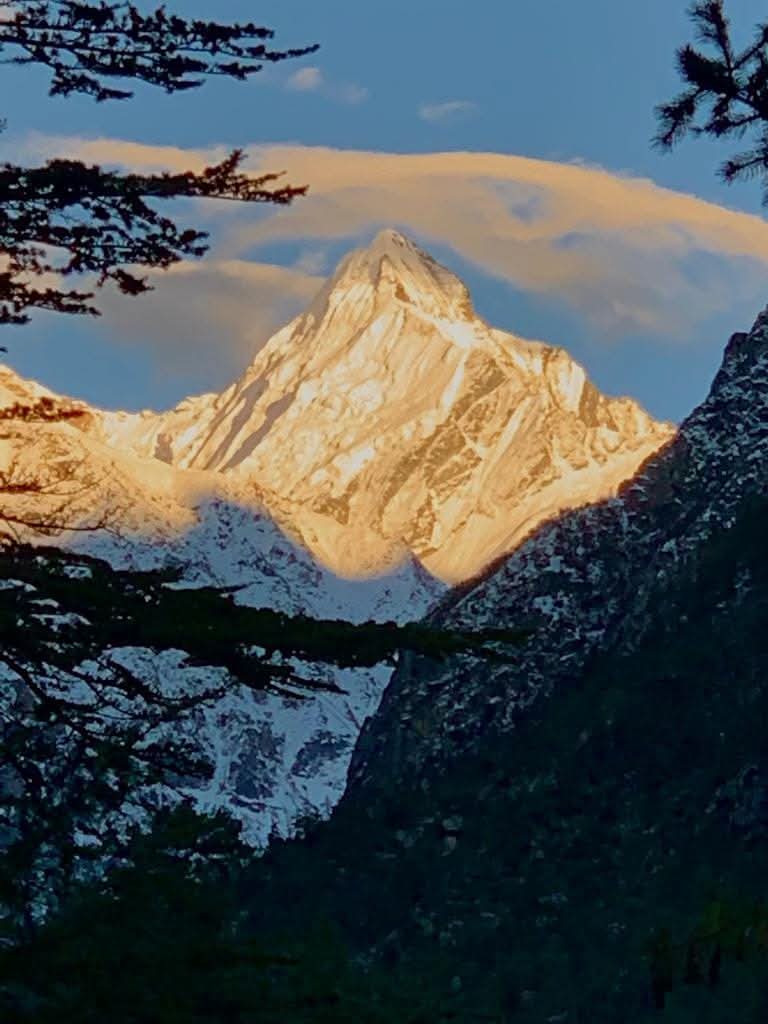 Golden sunrise glowing upon the holy Himalayan summit through forest pines